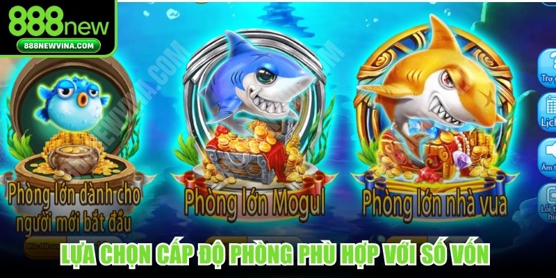 Lựa chọn cấp độ phòng phù hợp với số vốn để trải nghiệm thú vị