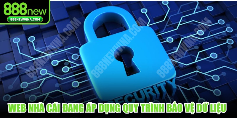 Web nhà cái uy tín đang áp dụng quy trình bảo vệ dữ liệu đa tầng