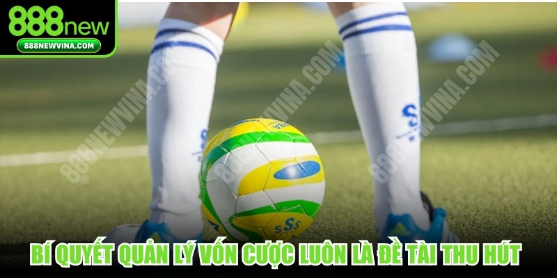 Bí quyết quản lý vốn cược luôn là đề tài thu hút sự chú ý đặc biệt