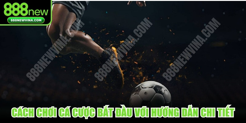 Cách chơi cá cược cho người mới bắt đầu với hướng dẫn chi tiết