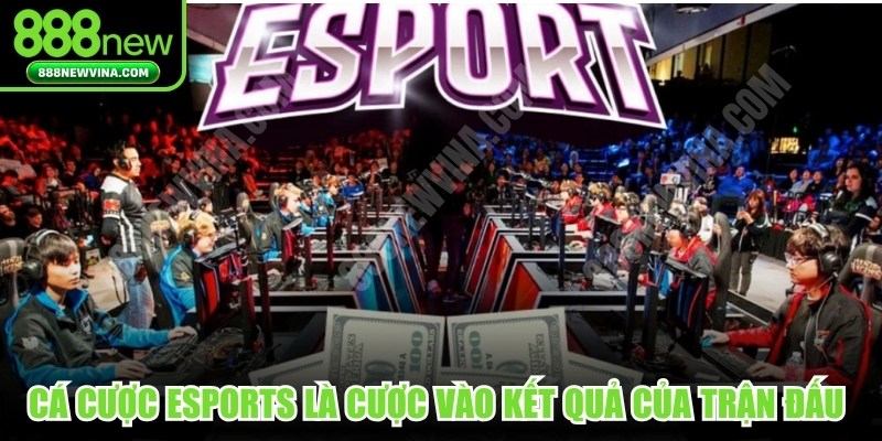 Cá cược Esports là hình thức đặt cược vào kết quả của các trận đấu game