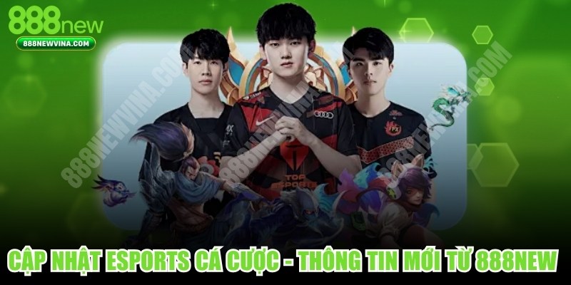 Cập Nhật Esports Cá Cược
