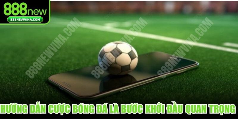 Hướng dẫn cược bóng đá là bước khởi đầu quan trọng nhất