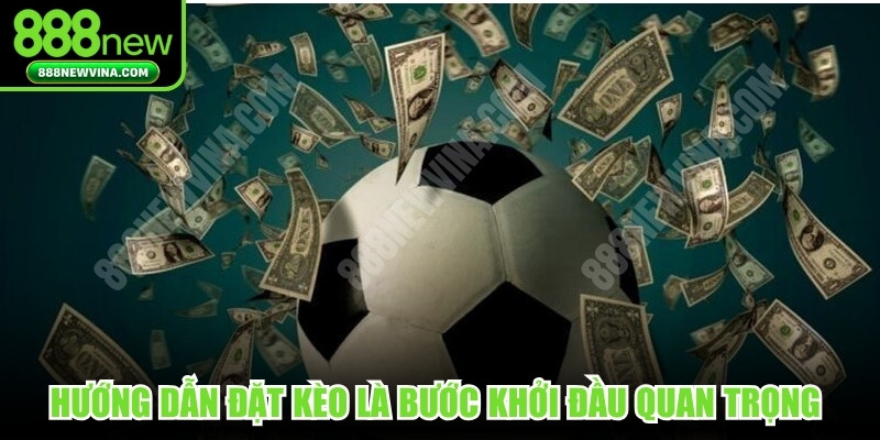 Hướng dẫn đặt kèo là bước khởi đầu quan trọng cần tuân thủ