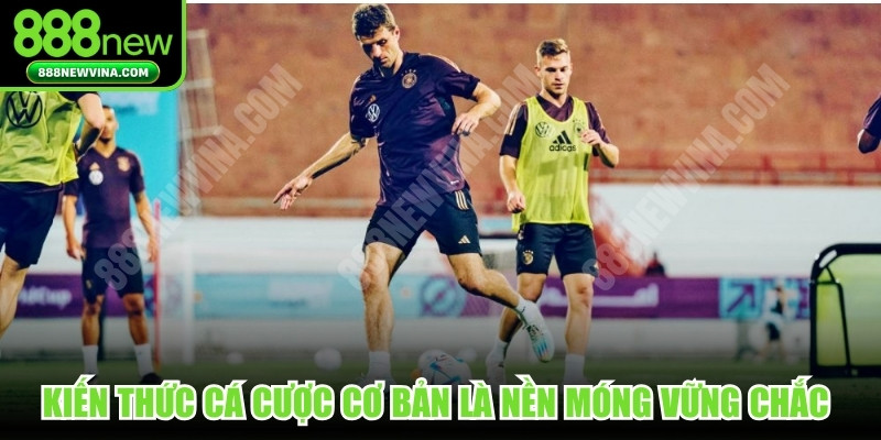 Kiến thức cá cược cơ bản chính là nền móng vững chắc nhất