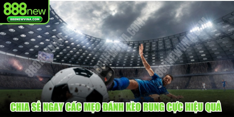 Chia sẻ ngay các mẹo đánh kèo rung cực hiệu quả cho bạn 