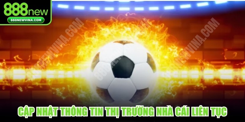 Cập nhật thông tin thị trường nhà cái liên tục, hàng ngày